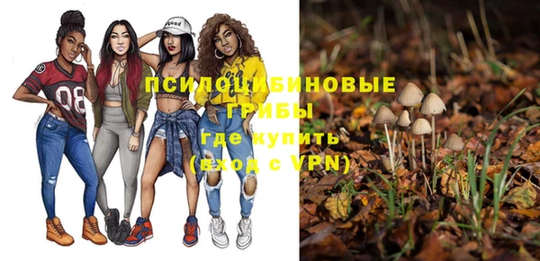 бутират Алексеевка