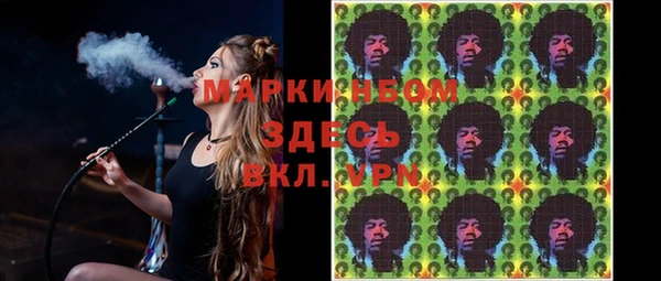 ГАЛЛЮЦИНОГЕННЫЕ ГРИБЫ Алзамай