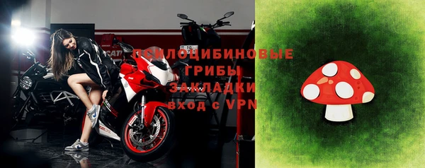 ГАЛЛЮЦИНОГЕННЫЕ ГРИБЫ Алзамай