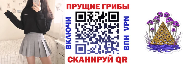 хочу наркоту  Опочка  Галлюциногенные грибы Psilocybe 