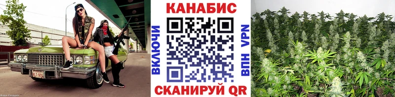 МАРИХУАНА сатива  Опочка 
